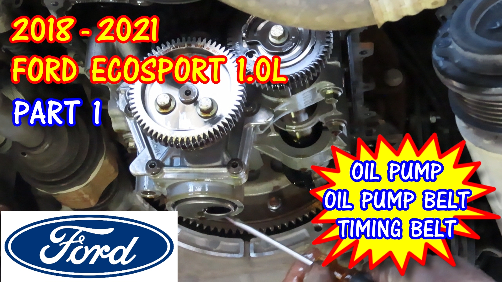 20182021 Ford EcoSport Timing Belt, Oil Pump Belt, And Oil Pump